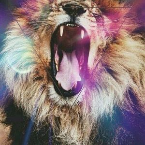 Meet your Posher, Briana